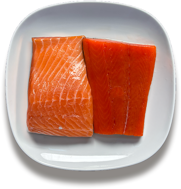 Zuchtlachs vs. Wilder Rotlachs